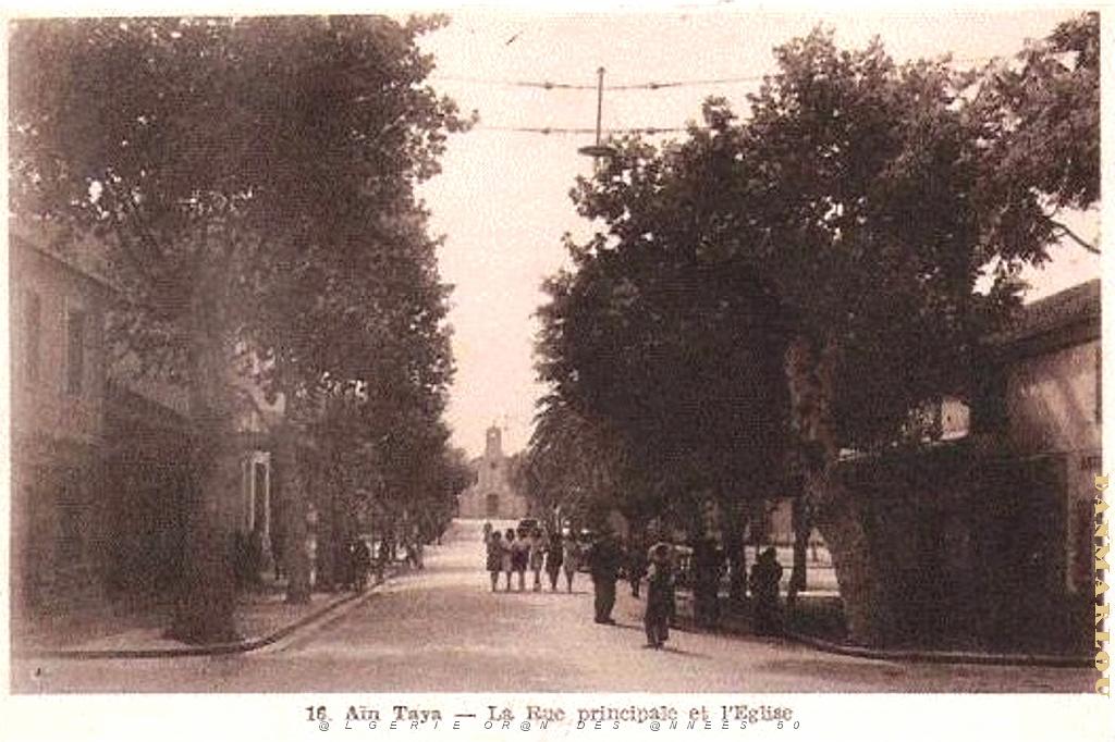 AIN TAYA.jpg